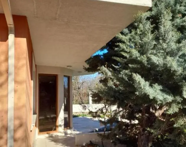 ゲストハウス Villa B&B 3*